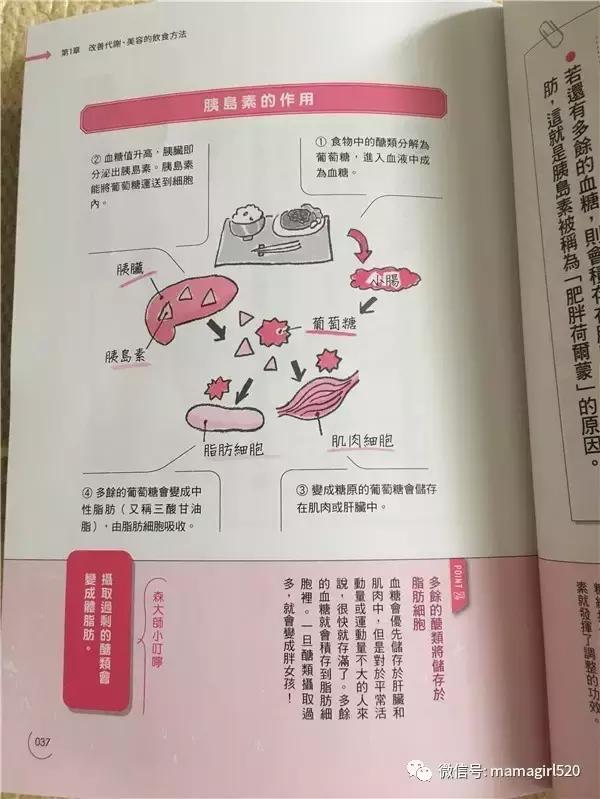 想要瘦下来基础代谢很重要,靠提高代谢就能瘦