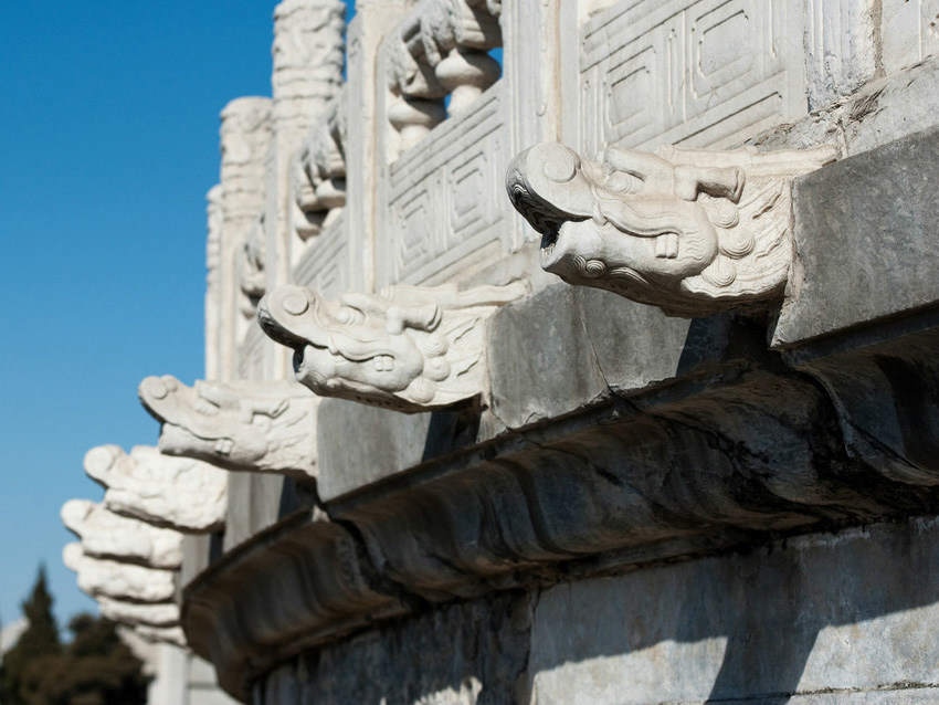 什么动物花心 (世界上最花心的动物是什么)