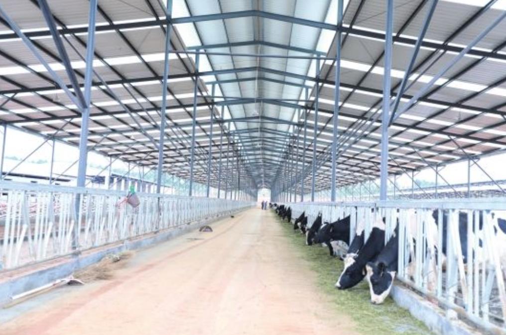 新希望饲料发展,新希望饲料深度分析