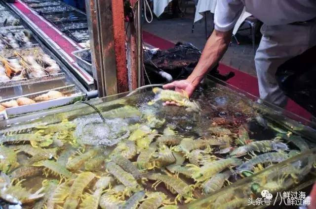 比手臂还粗的皮皮虾你吃过了吗,比手臂还大的皮皮虾吃起来超过瘾
