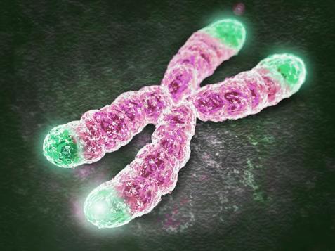 人终究会死亡到底是为了什么,人为什么终究会死去呢