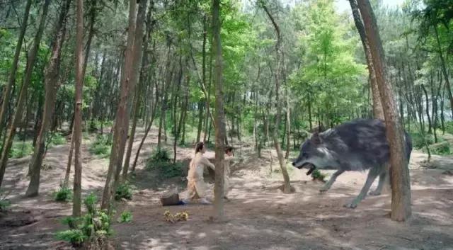 择天记最失败的一点,择天记烂吗