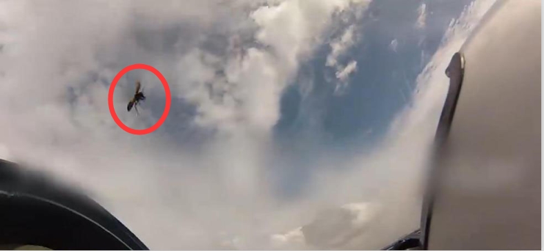 训练画面越南空军苏30,越南空军苏30机库