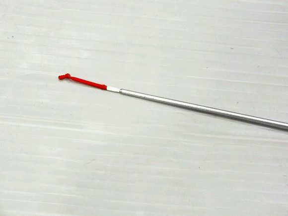 为买它,吹牛带老婆去日本看樱花,还把老婆高兴坏了!