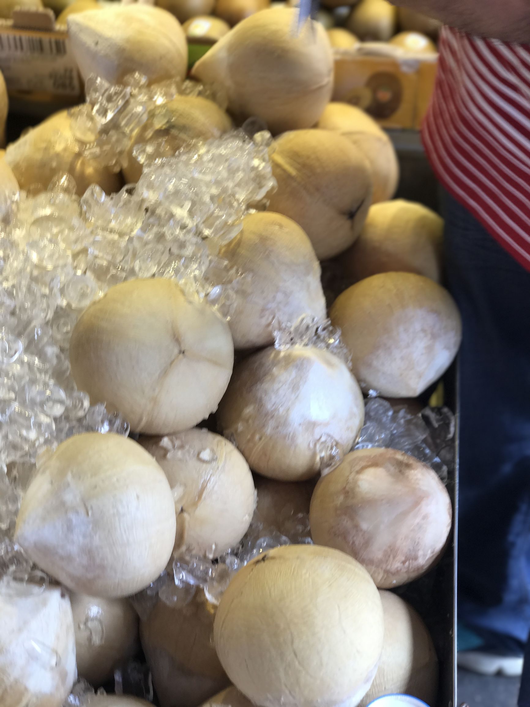 阳春四月，满足你的香港胃——香港澳门饮食游记