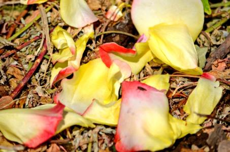 医生与医护人员的故事,医生与医患的故事