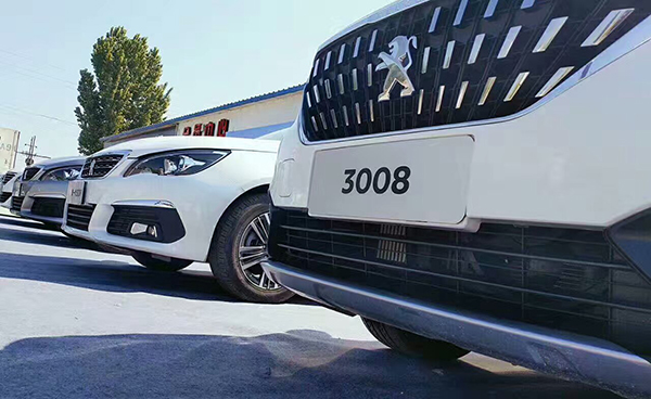 都说法国人会造车不会卖车？这次新308就下下赛道给你们看