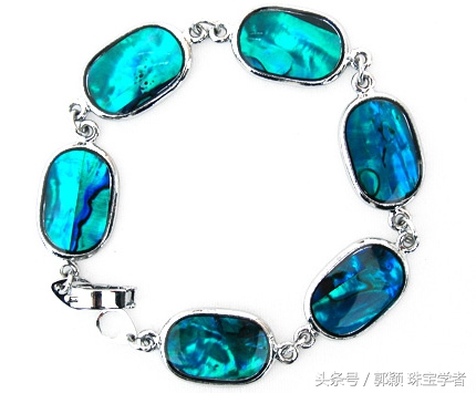 鲍鱼除了吃还代表什么,鲍鱼除了是食物还是什么东西