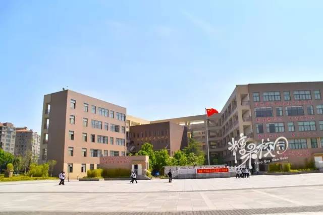 校园资讯开头,校园资讯栏目