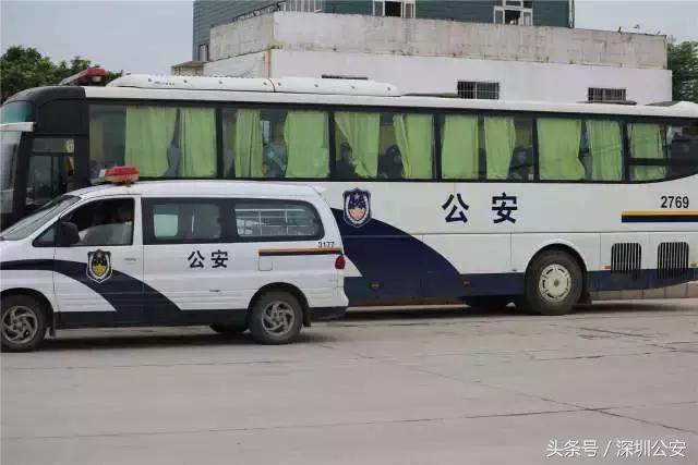 这群人牺牲周末美好时光，与你一起看“光明·迳口微型马拉松”！