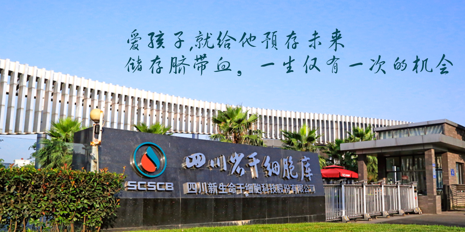 干细胞激活提高卵巢功能成都,卵巢早衰干细胞研究最新进展