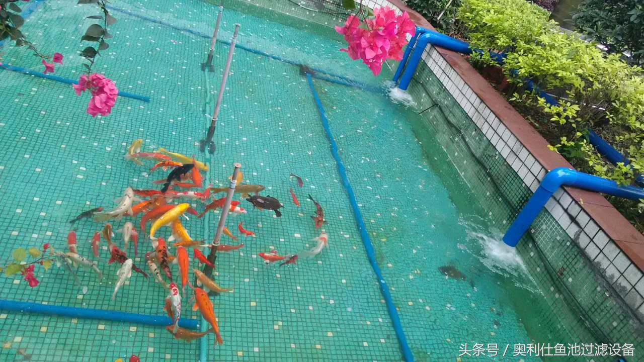 22立方鱼池价格一览表,36平方鱼池建造价格一览表