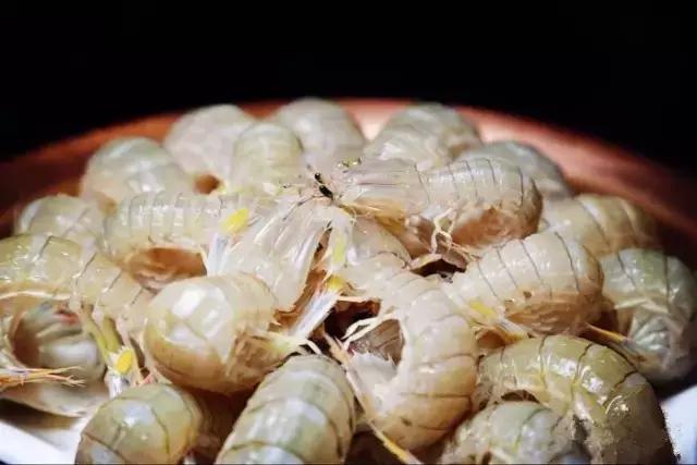 天津渤海皮皮虾,天津最好的皮皮虾