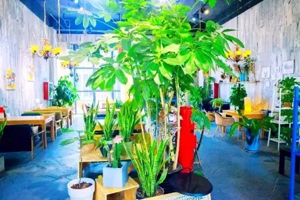 银川适合情侣去的咖啡馆,银川十大情侣约会餐厅