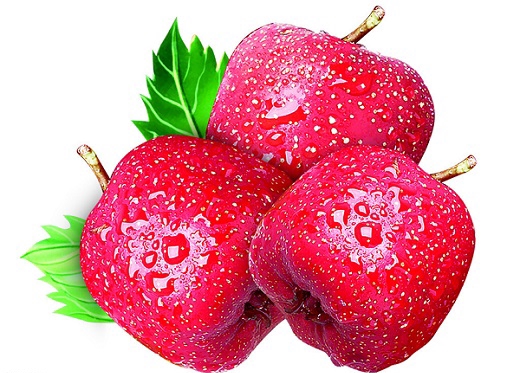 山楂消食健胃行气散瘀,山楂消食化瘀麦芽消食