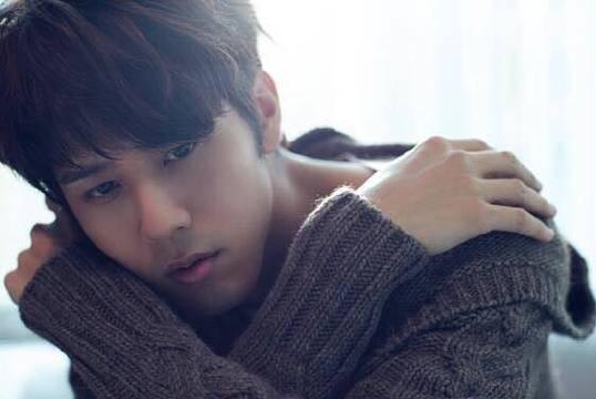 郑国霖和柳云龙,郑耀龙与柳云龙