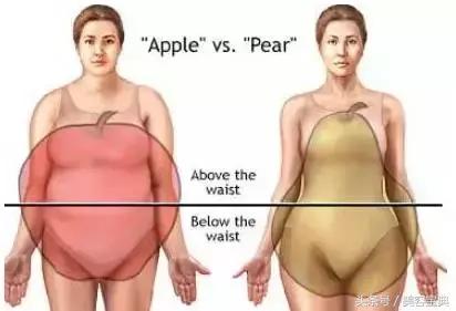 女性有腰突的危害,女性腰粗肚子大的危害