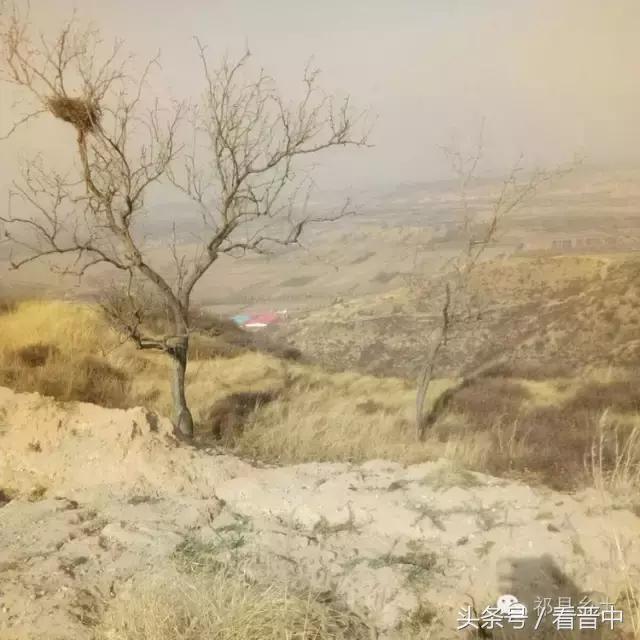 祁县三个村,祁县所有村名单