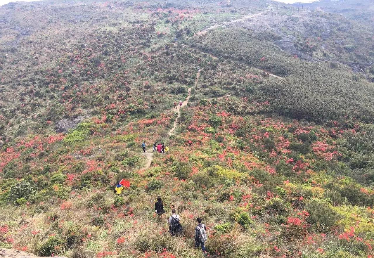 大罗山龙脊离百家尖有多远,大罗山瓯海一日游最佳路线图