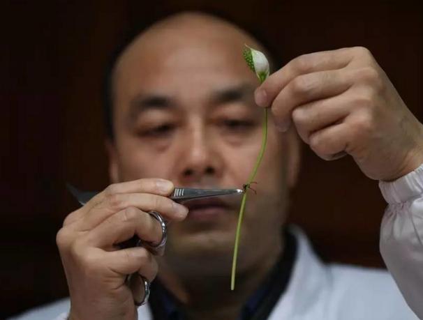 豆腐也能穿刺、葡萄还能缝针？这些外科医生为啥要拿食物练绝技？