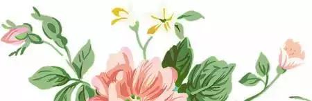 浏阳大围山杜鹃花旅游攻略,湖南浏阳大围山杜鹃花节一日游