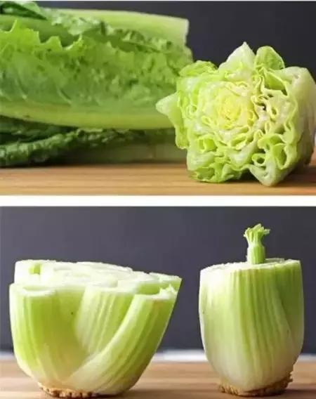 阳台蔬菜的种植方法和步骤,十大阳台蔬菜种植技巧