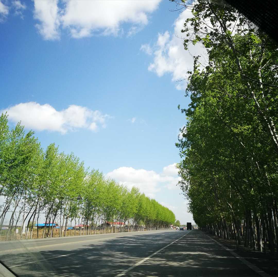 当我不再追求爱与被爱,当我不再渴望被爱