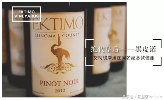 葡萄酒大师品鉴红酒,葡萄酒大师酿酒视频