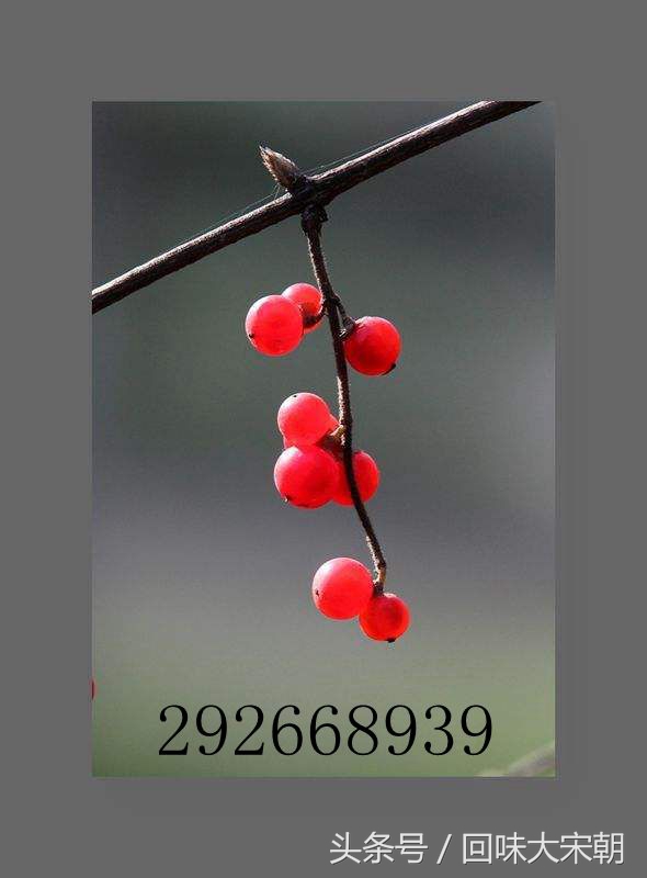 红豆减肥法最简单有效,红豆减肥法正确做法