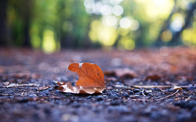 一个人的美丽不是容颜而是心灵,真正的美丽不是你的容颜