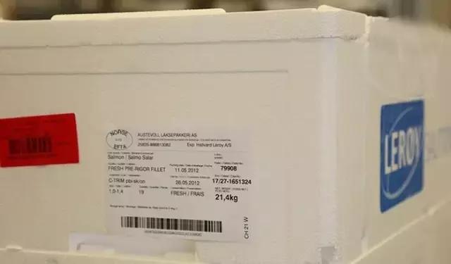 大西洋鲑鱼和挪威三文鱼的区别,我们吃的三文鱼怎么来的