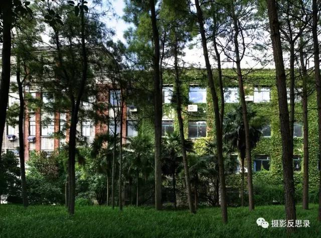 浙大玉泉照片,跨越百年的珍贵影像