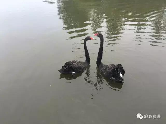 吉林省旅游五一景点推荐,五一游玩吉林出发