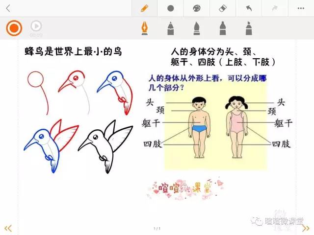 小学三年级下科学动画,科学卡通图案