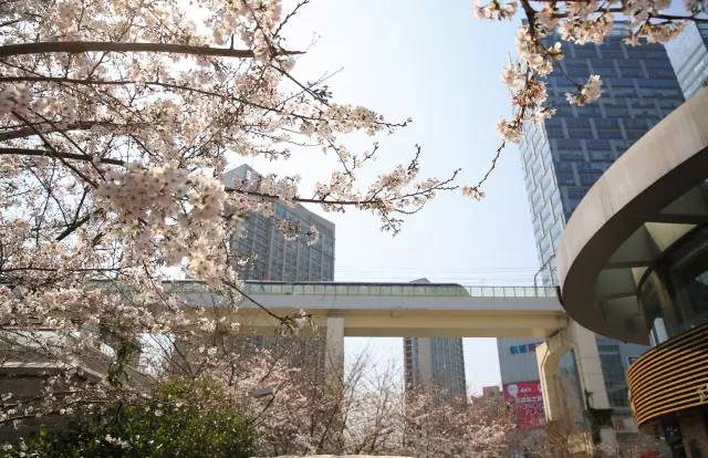 「拾趣」古典风、童话风……上海16座最美地铁站，你最常经过哪一站？