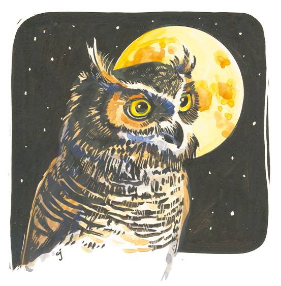 水彩画入门基础知识大全,水彩画水墨画有什么区别基础知识