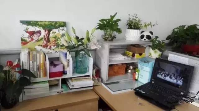 「美丽开发区」最美校园︱南苑中学：精耕细作创精品春风化雨育新苗