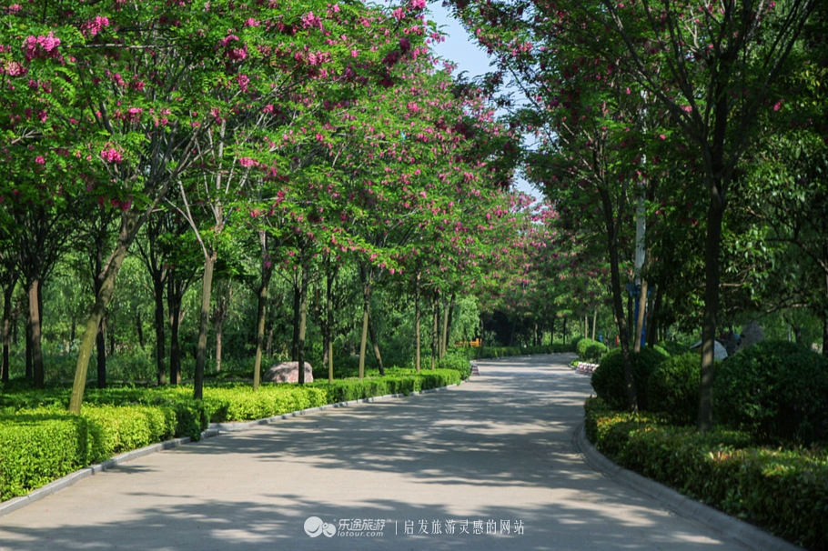 花园宝宝的萌宝,花园宝宝幼儿园里欢乐多