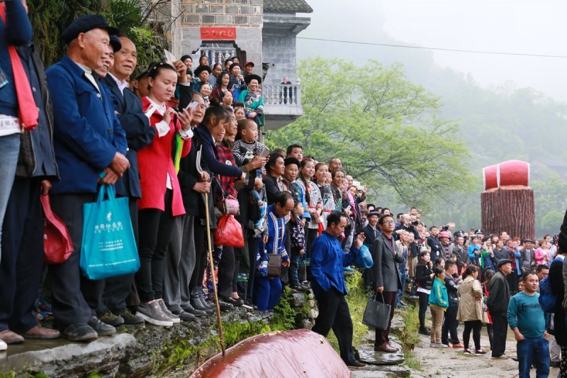 今天“四月八”，吉首坪朗比往年更“火”！