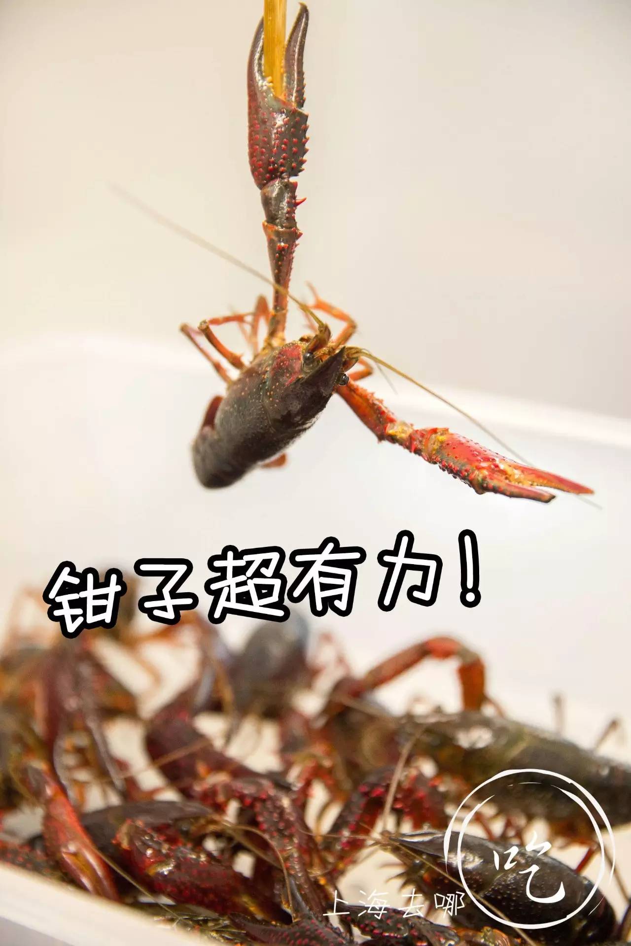 这家店营业到凌晨2点，卖的都可以选Size，还给手活儿好的打折……