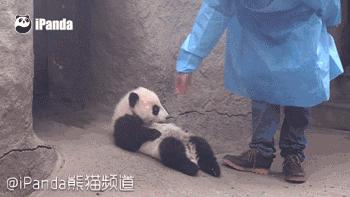 陪你在成都的街头走一走,和我到成都的街头走一走的歌名