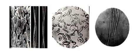 纺织纤维衣服好不好,纺织纤维的衣服质量怎么样