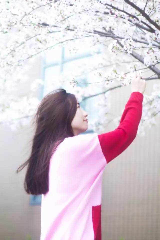 闵行区有几个镇繁华,上海闵行哪个镇最繁华