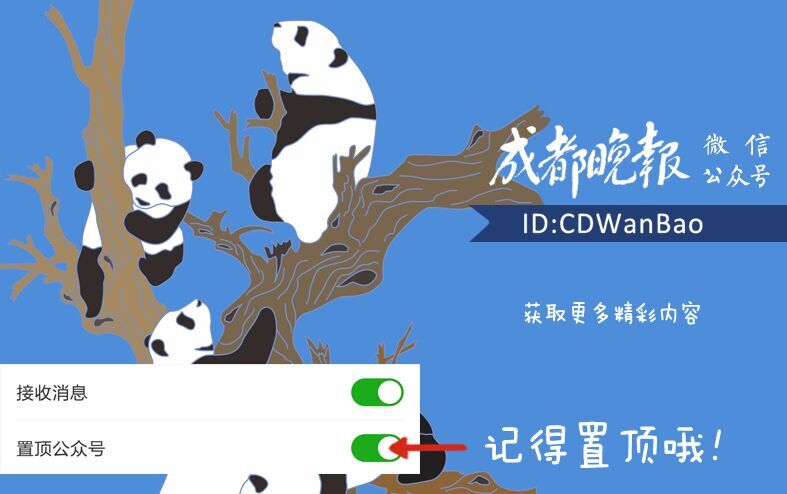 新房装修酿惨祸,新房装修遇到无良装修公司