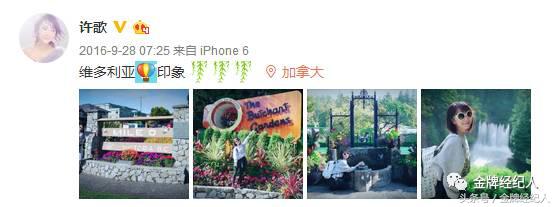 许歌个人资料及照片,许歌个人资料