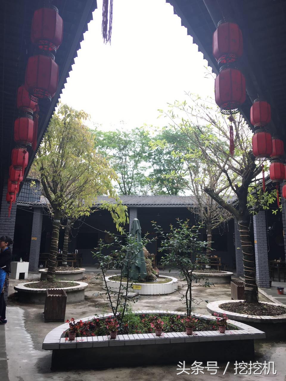 蓉城美食牛蛙,蓉城美食湘菜