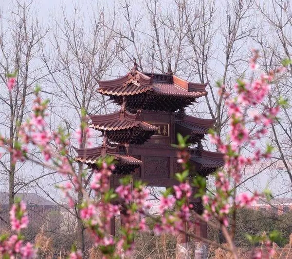 浙江大学最老的建筑,浙江大学标志性建筑