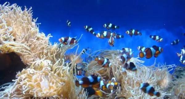 西南最大免费公园,西南片区最大公园