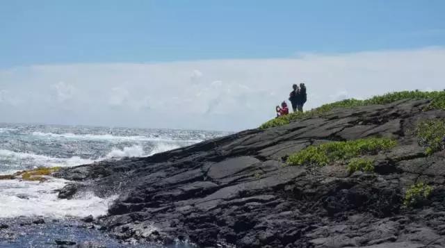 出门旅行,有些纪念品最好不要带回家