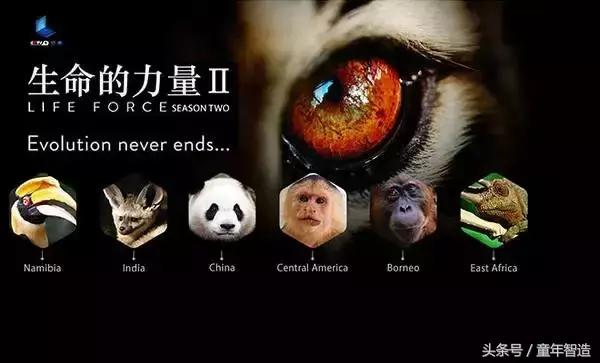 假期一定要带孩子看的5部纪录片,孩子必看的10部自然纪录片